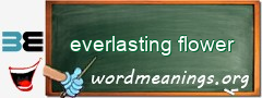 WordMeaning blackboard for everlasting flower